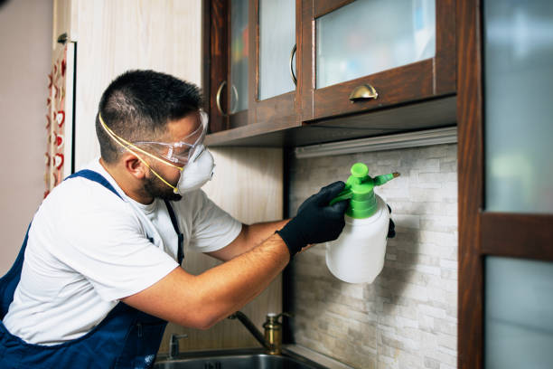 Best Best Pest Control Companies  in Defiance, OH