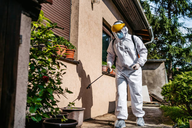Best Flea Control Services  in Defiance, OH