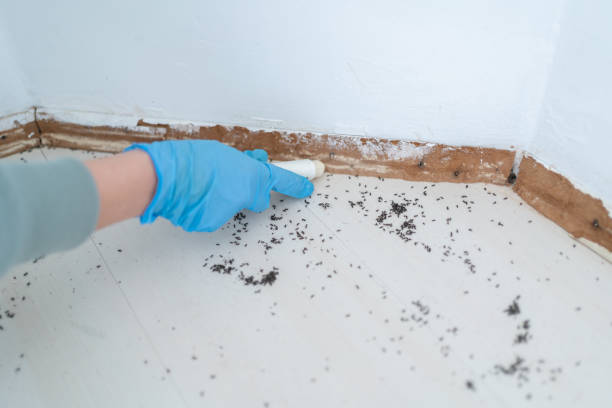 Trusted Defiance, OH Pest Control Experts