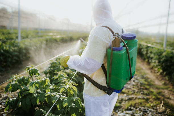 Best Mosquito Control Services  in Defiance, OH